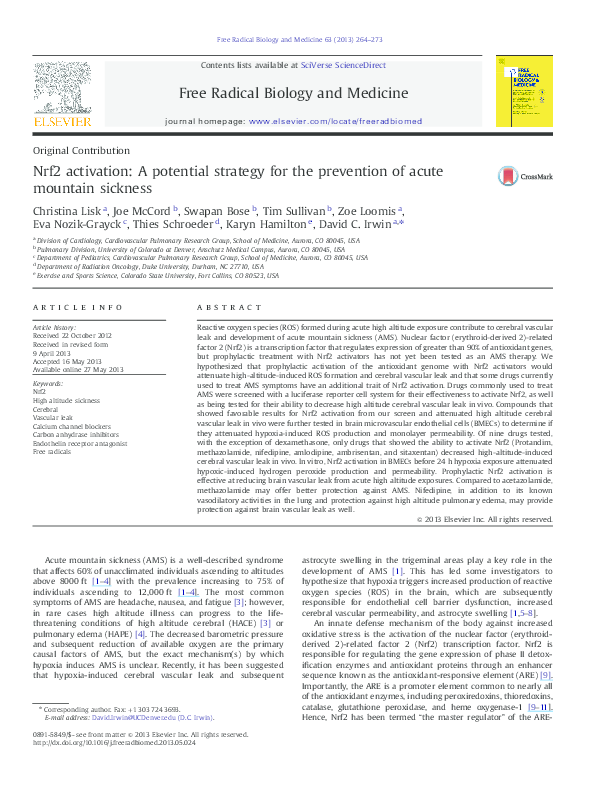 How to make essays longer picture