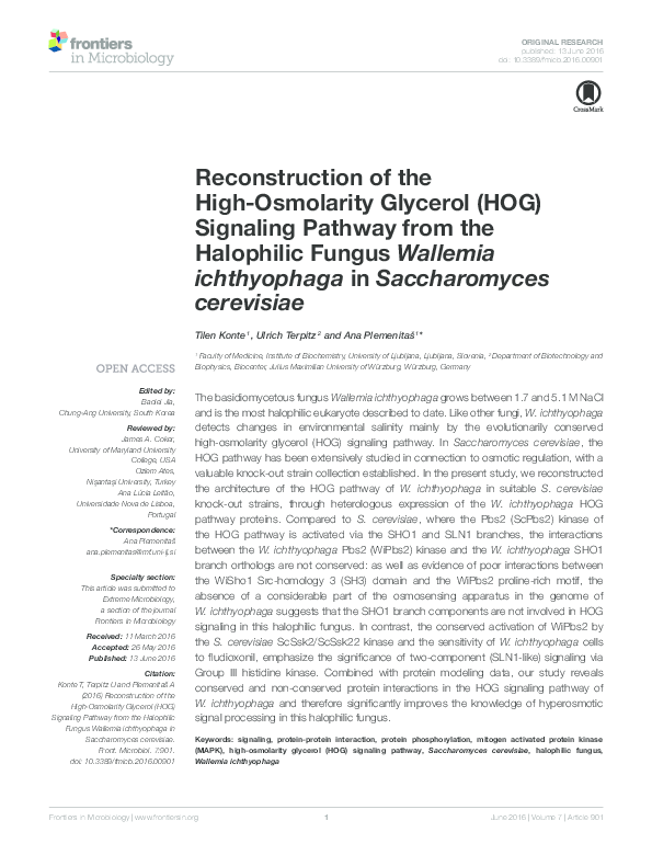 (PDF) Reconstruction of the HighOsmolarity Glycerol (HOG) Signaling