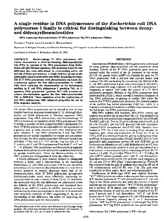 (PDF) A Single Residue in DNA Polymerases of the Escherichia coli DNA ...