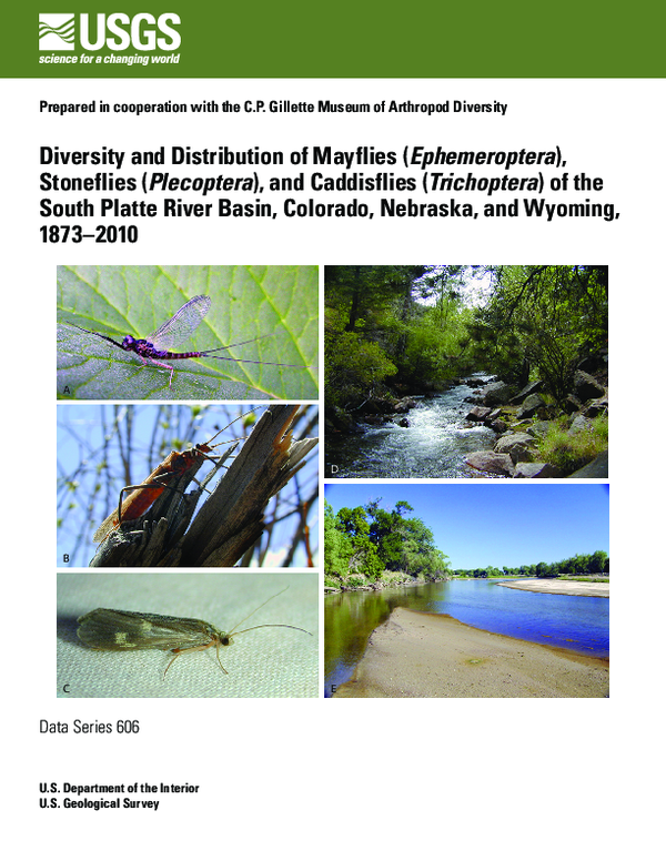 (PDF) Diversity and distribution of mayflies (Ephemeroptera ...