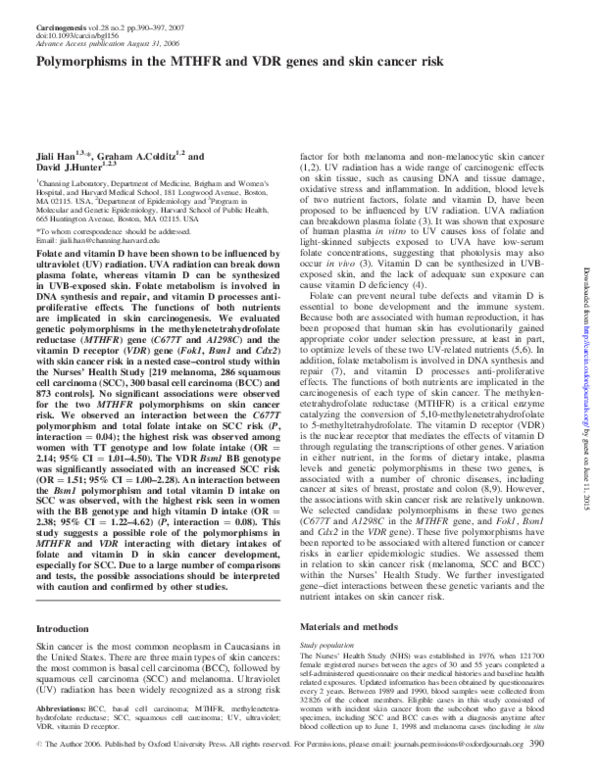 (PDF) Polymorphisms in the MTHFR and VDR genes and skin cancer risk