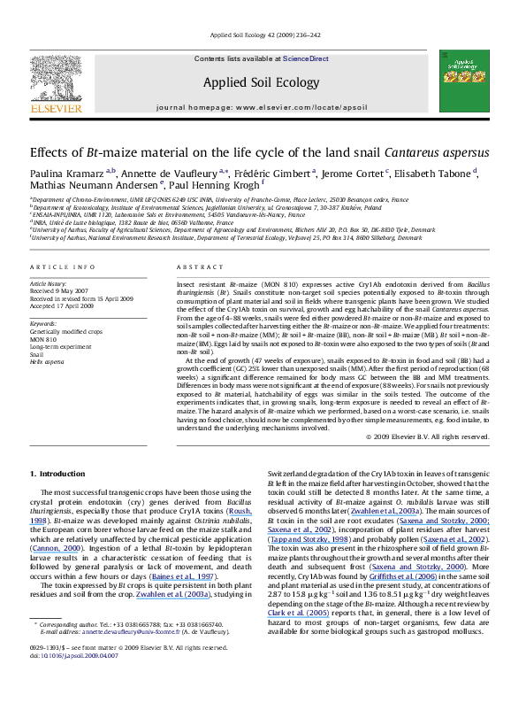 Conclusion about bt corn image