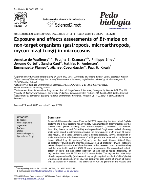 Questions about bt corn picture