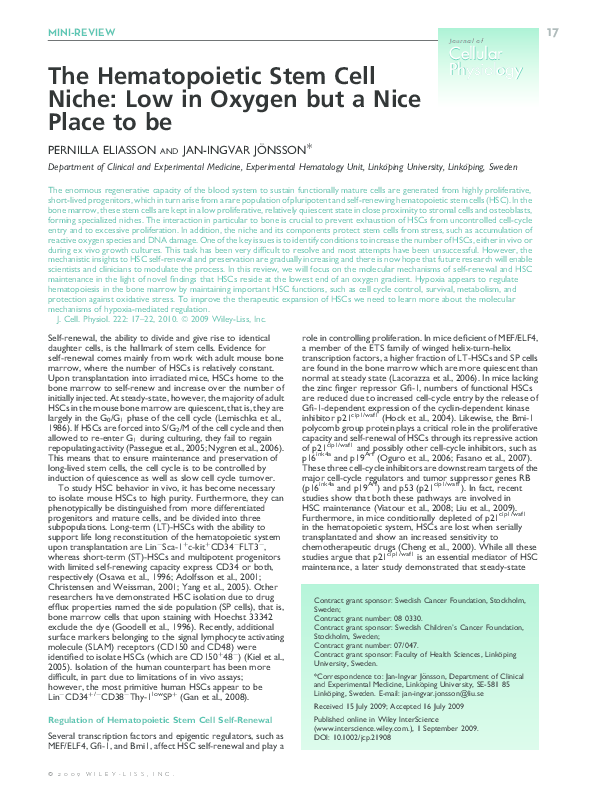 (PDF) The hematopoietic stem cell niche: Low in oxygen but a nice place ...