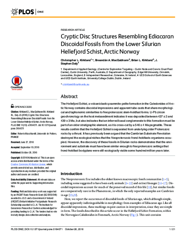 (PDF) Cryptic Disc Structures Resembling Ediacaran Discoidal Fossils ...