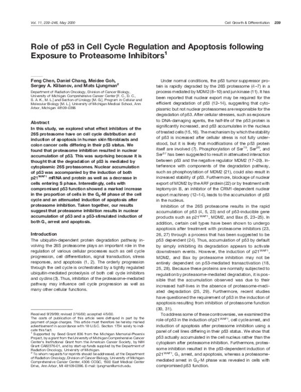 (PDF) Role of p53 in cell cycle regulation and apoptosis following ...