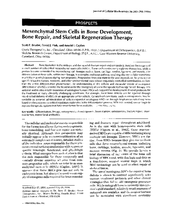 (PDF) Mesenchymal Stem Cells in Bone Development Bone Repair, and ...