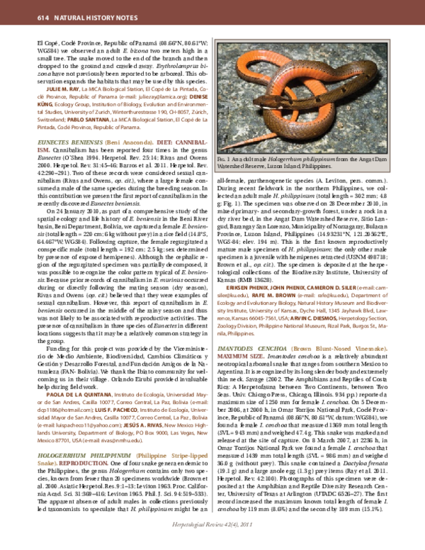 Callatians india picture