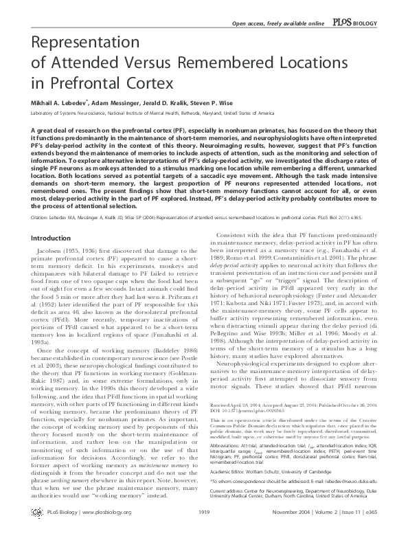 (PDF) Representation of Attended Versus Remembered Locations in ...