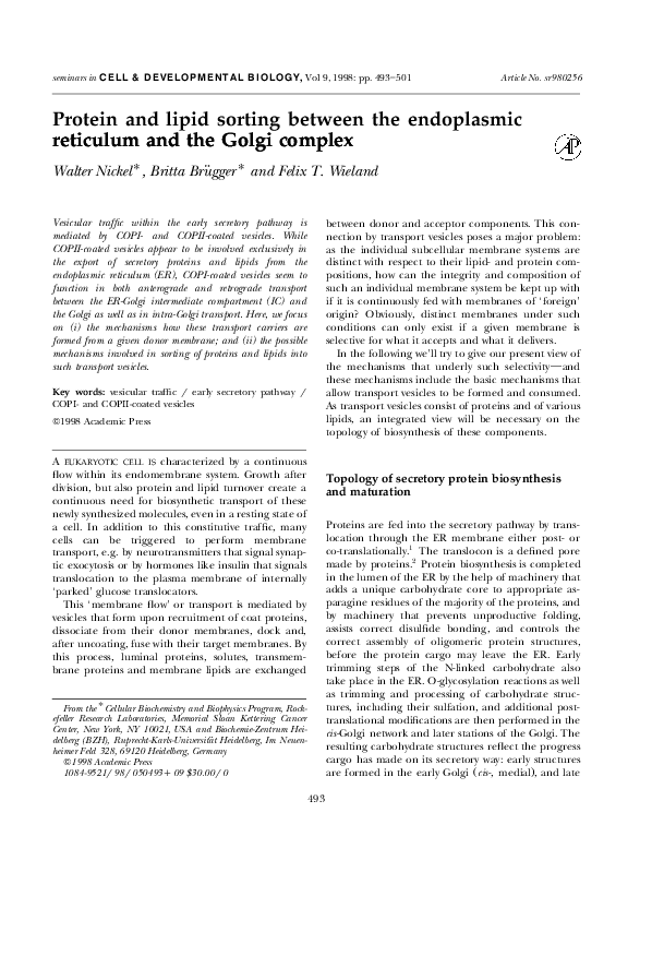 (PDF) Protein and lipid sorting between the endoplasmic reticulum and ...