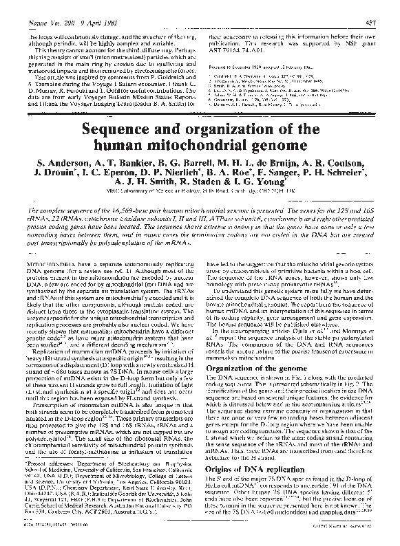 (PDF) Sequence and organization of the human mitochondrial genome