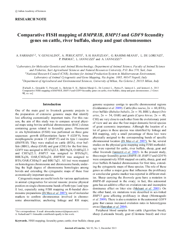 (PDF) Comparative FISH-Mapping of Fecundity Gene of GDF9 on Sheep and ...