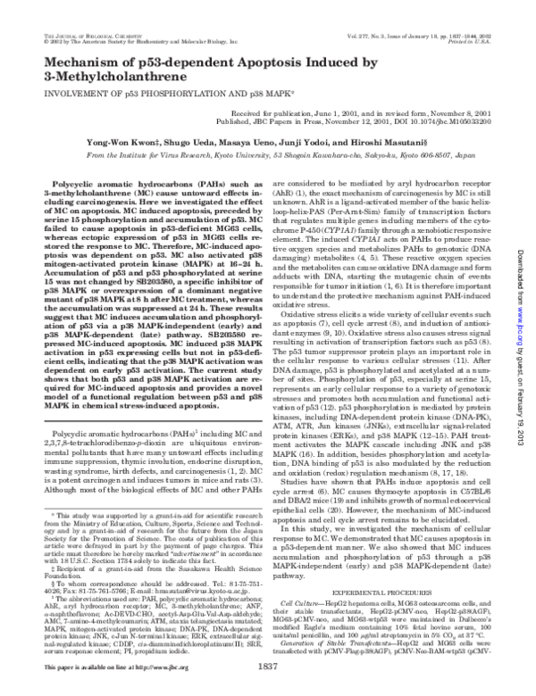 (PDF) Mechanism of p53-dependent Apoptosis Induced by 3 ...
