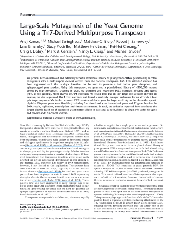 (PDF) Large-Scale Mutagenesis of the Yeast Genome Using a Tn7Derived ...