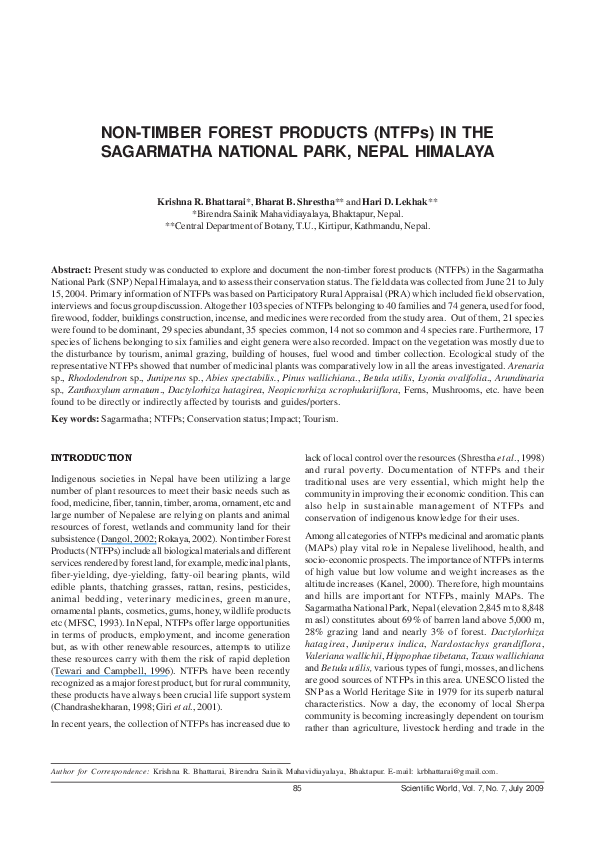 Essay of sagarmatha picture