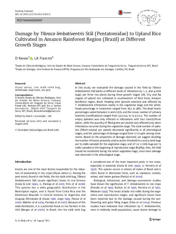 (PDF) Damage by Tibraca limbativentris Stål (Pentatomidae) to Upland ...