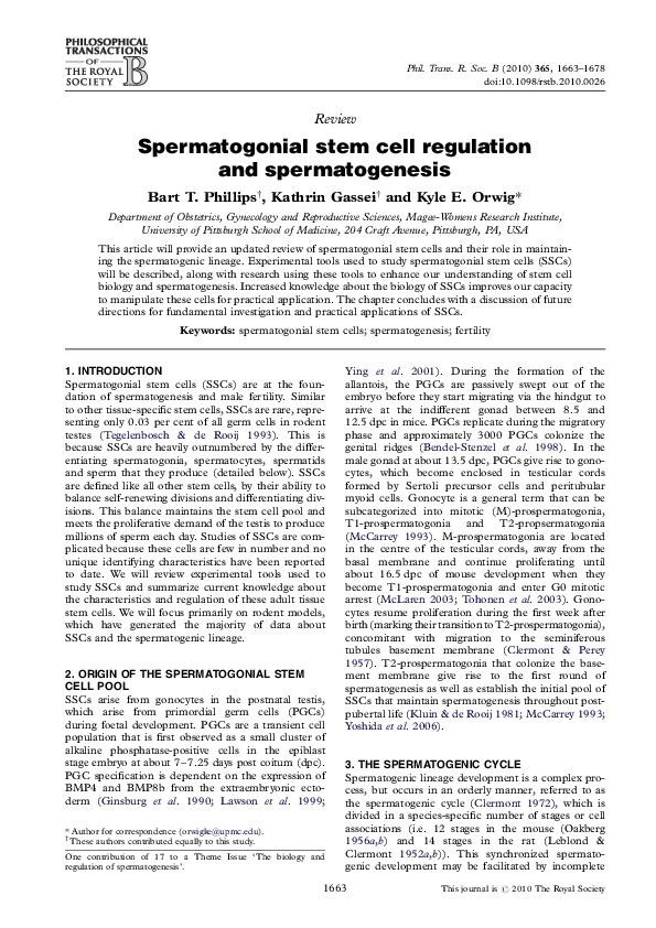 (PDF) Spermatogonial stem cell regulation and spermatogenesis