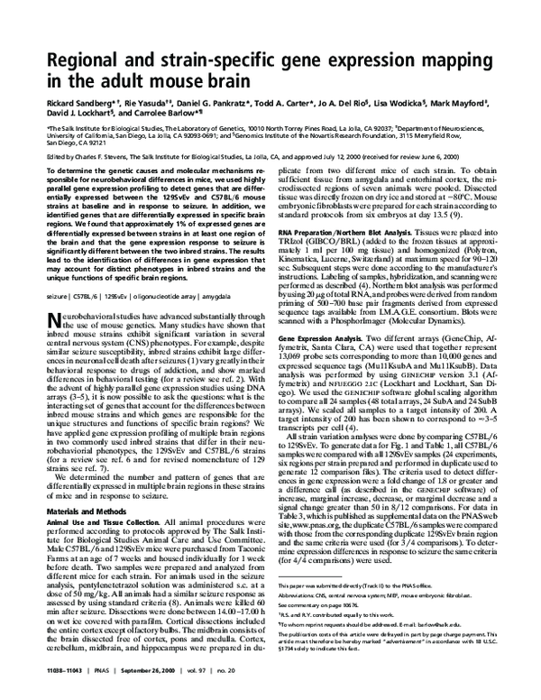 (PDF) Regional and strain-specific gene expression mapping in the adult ...