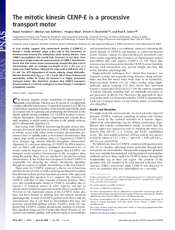 (PDF) The mitotic kinesin CENP-E is a processive transport motor