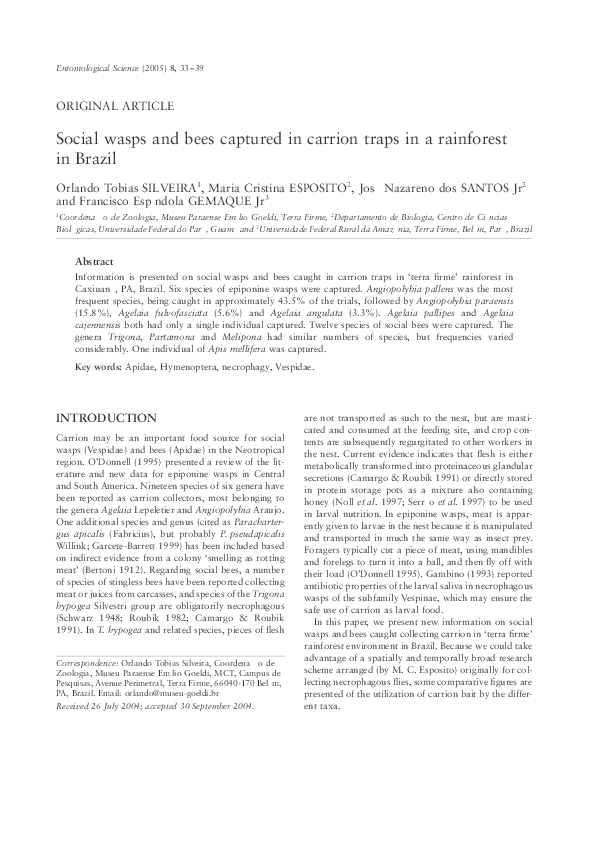 (PDF) Social wasps and bees captured in carrion traps in a rainforest ...