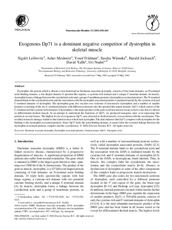 (PDF) Exogenous Dp71 is a dominant negative competitor of dystrophin in ...