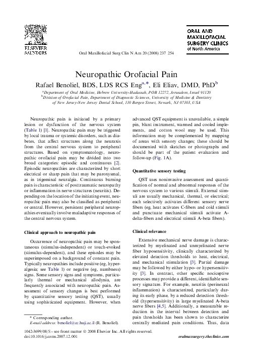 Neuropathic pain thesis 05 image