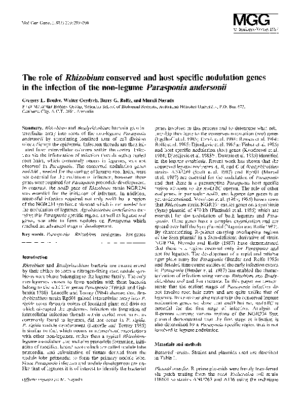 Rhizobium bacteria in the root nodules of leguminous plants help in fixing picture