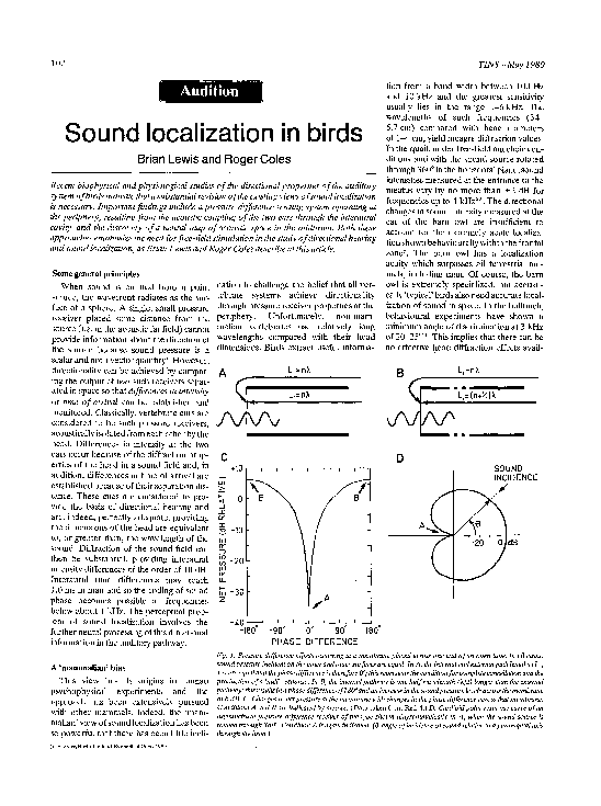 (PDF) Sound localization in birds