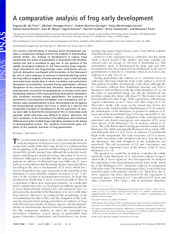 (PDF) Inaugural Article: A comparative analysis of frog early development
