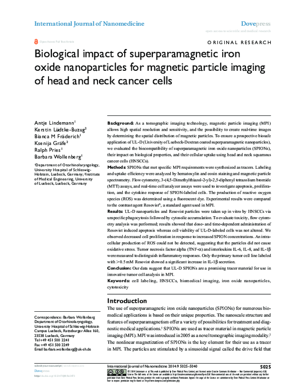 (PDF) Biological impact of superparamagnetic iron oxide nanoparticles ...