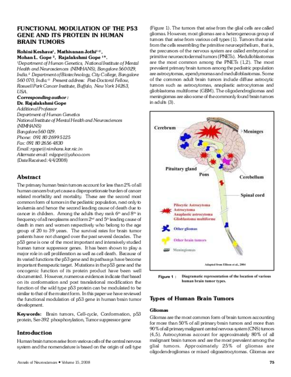 (PDF) Functional Modulation of the P53 Gene and its Protein in Human ...