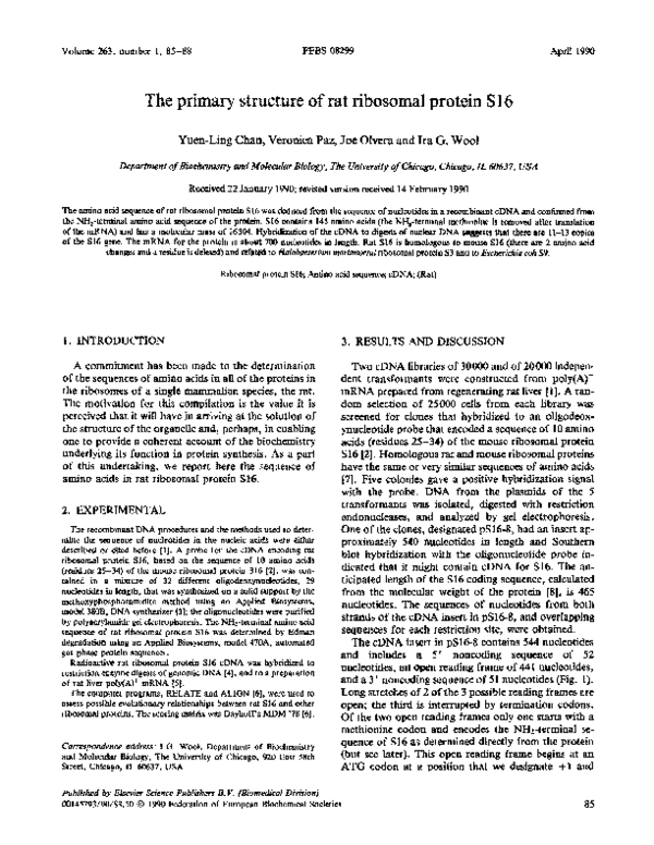 (PDF) The primary structure of rat ribosomal protein S16
