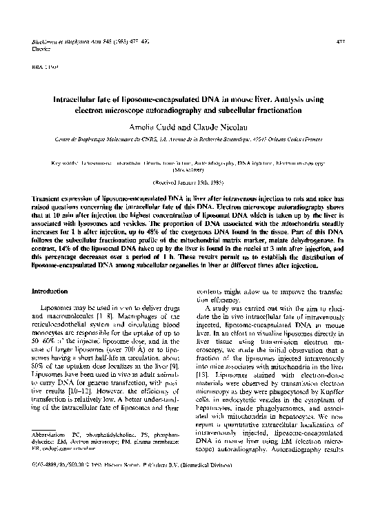 (PDF) Intracellular fate of liposomeencapsulated DNA in mouse liver