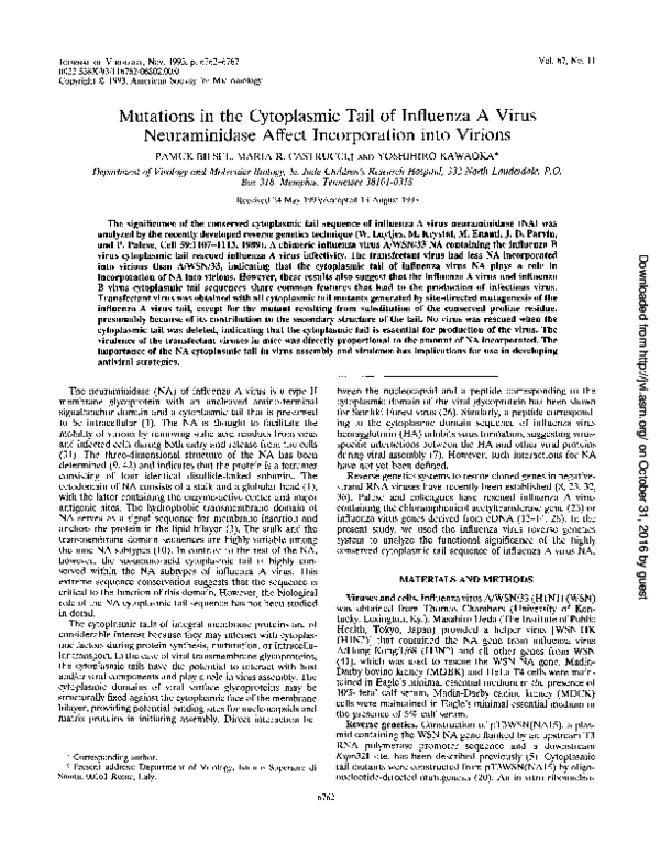 (PDF) Mutations in the cytoplasmic tail of influenza A virus ...