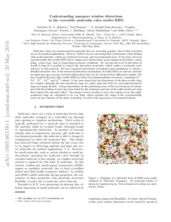 (PDF) Understanding Nanopore Window Distortions in the Reversible ...