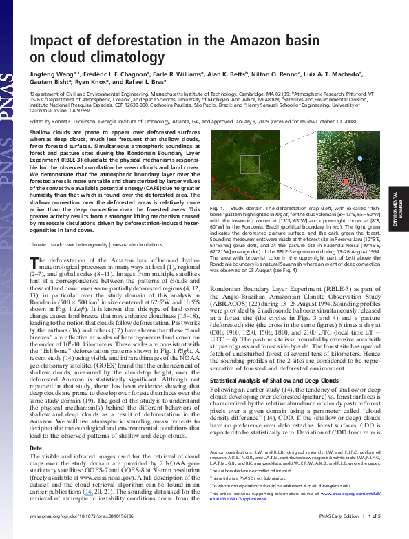 (PDF) Impact of deforestation in the Amazon basin on cloud climatology