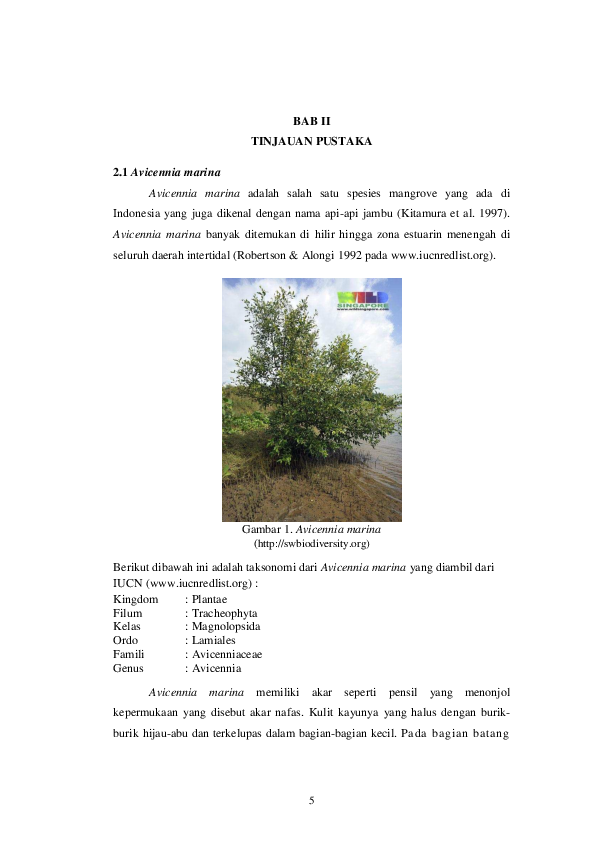 (PDF) Avicennia marina