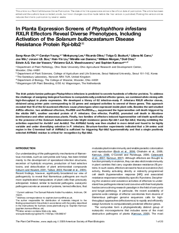 Revealing metabolic phenotypes in plant essay 08 image