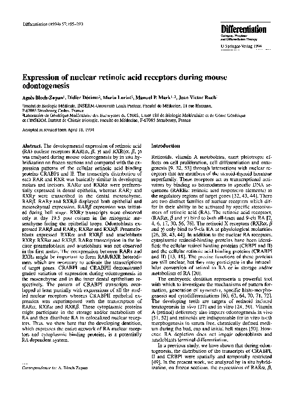 (PDF) Expression of nuclear retinoic acid receptors during mouse ...