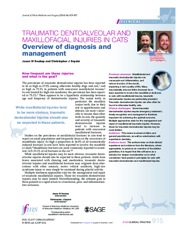 (PDF) Traumatic Dentoalveolar and Maxillofacial Injuries in Cats ...