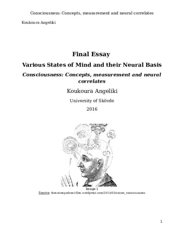 (DOC) Theories of consciousness and their neural correlates.