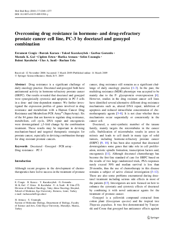 Cancer essay example picture