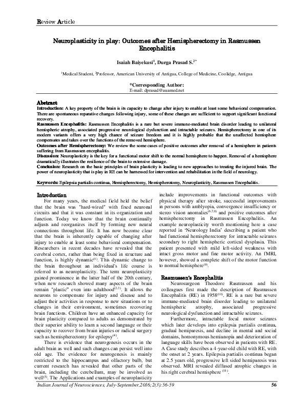 Encephalitis student essay 04 image