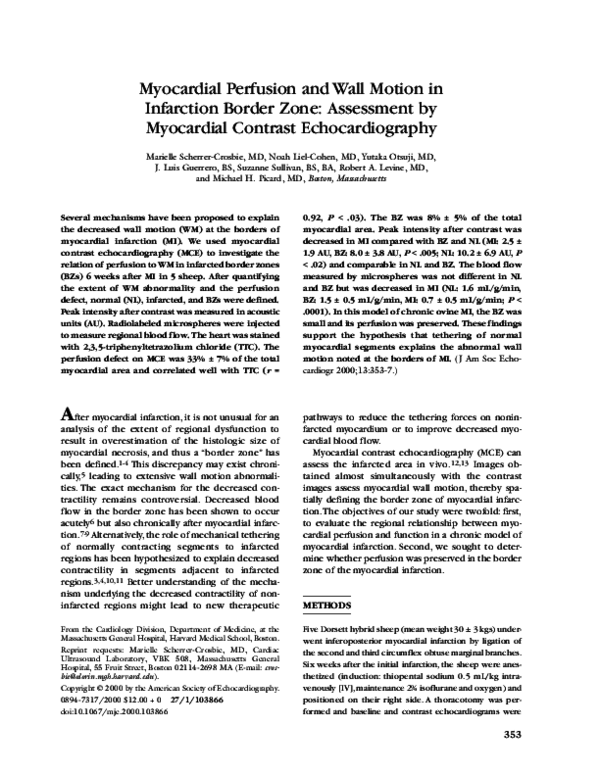 (PDF) Myocardial Perfusion and Wall Motion in Infarction Border Zone ...