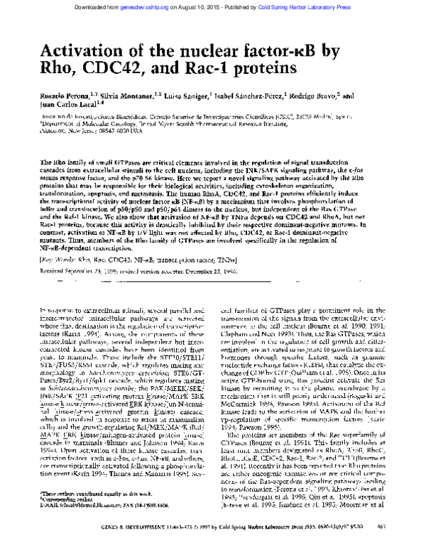 (PDF) Activation of the nuclear factor-kappaB by Rho, CDC42, and Rac1 ...