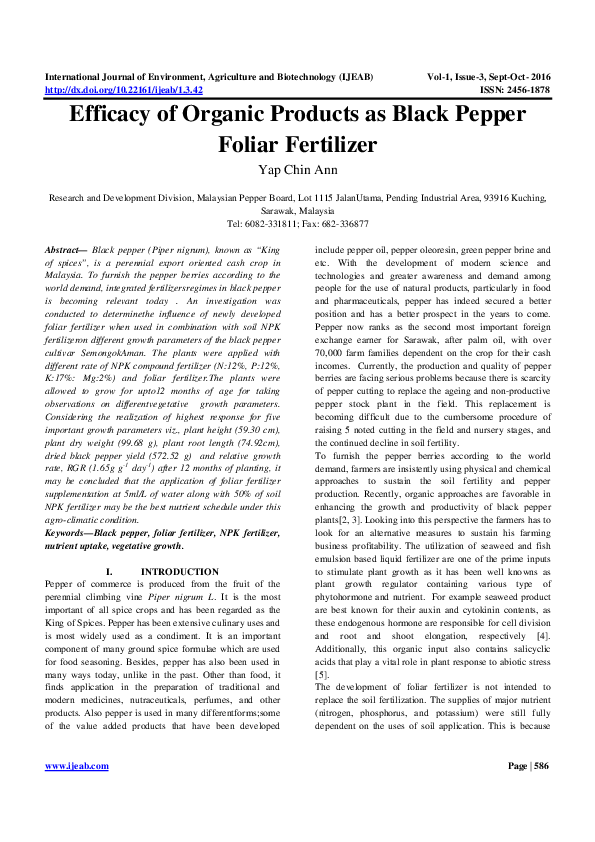 What is black pepper made from picture