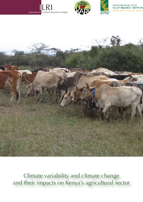 (PDF) Climate Variability and Climate Change Impacts on Smallholder ...