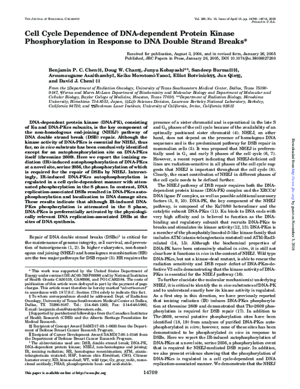 (PDF) Cell Cycle Dependence of DNA-dependent Protein Kinase ...