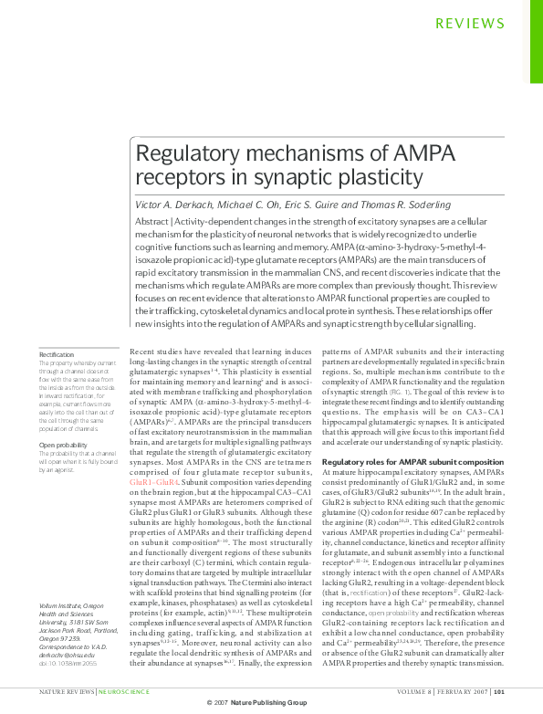(PDF) Regulatory mechanisms of AMPA receptors in synaptic plasticity