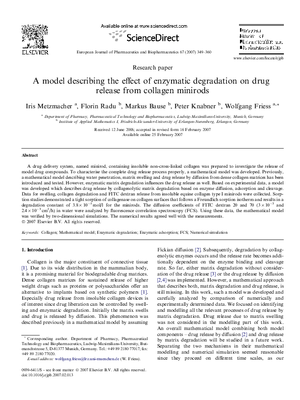 (PDF) A model describing the effect of enzymatic degradation on drug ...